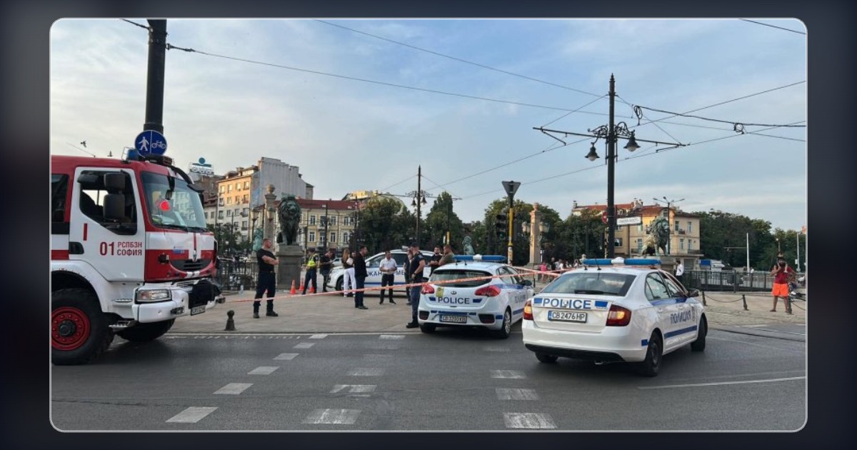 Цената на една Душа: Когато Човешкият Живот струва по-малко от Сянка.